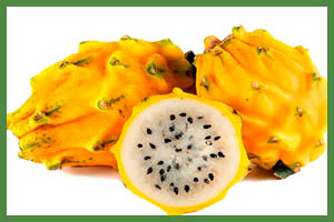 Pitahaya Pulps. Handmade Organic Products Pitahaya Pulps. Handmade Organic Products