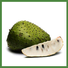 Soursop Pulp. Organic Pulps in Arizona. Fruit Pulps in Arizona. Fruit Organic