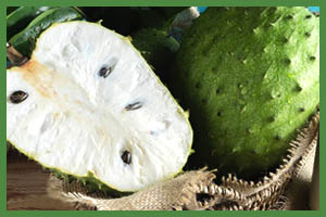 Soursop Pulps. Handmade Organic Products Soursop Pulps. Handmade Organic Products